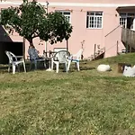 Garden * Aradas